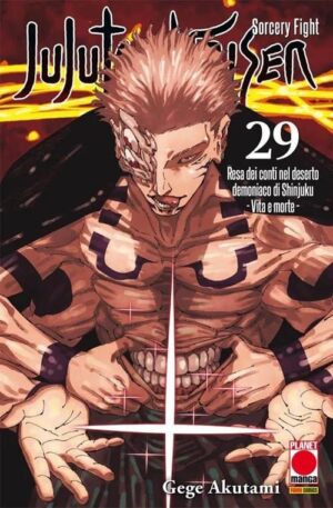 Jujutsu Kaisen. Vol. 29