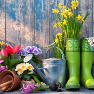 Giardinaggio